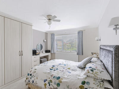 Picture 11
